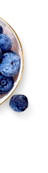 Bowl with blueberries